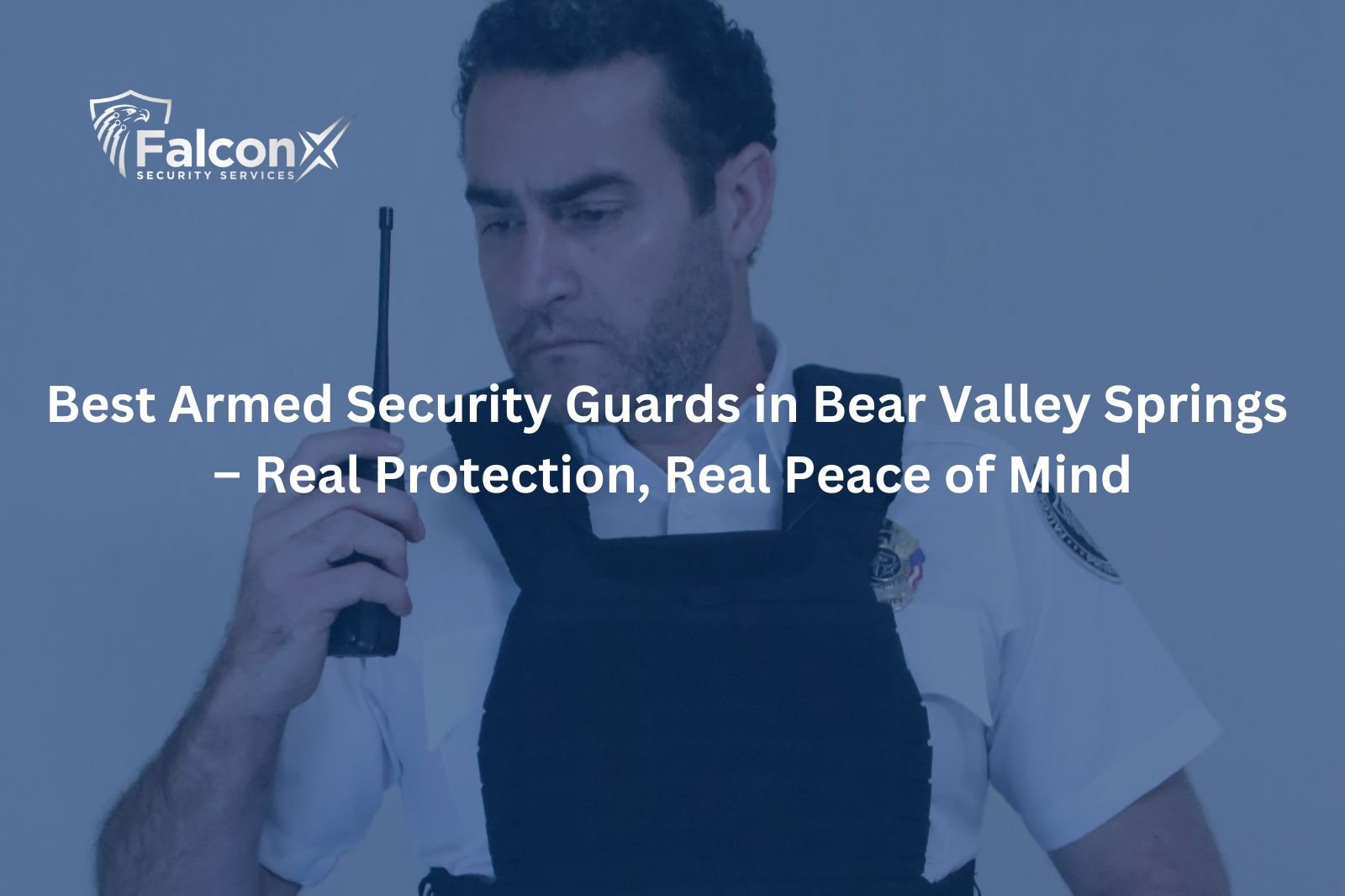 Best Armed Security Guards in Bear Valley Springs