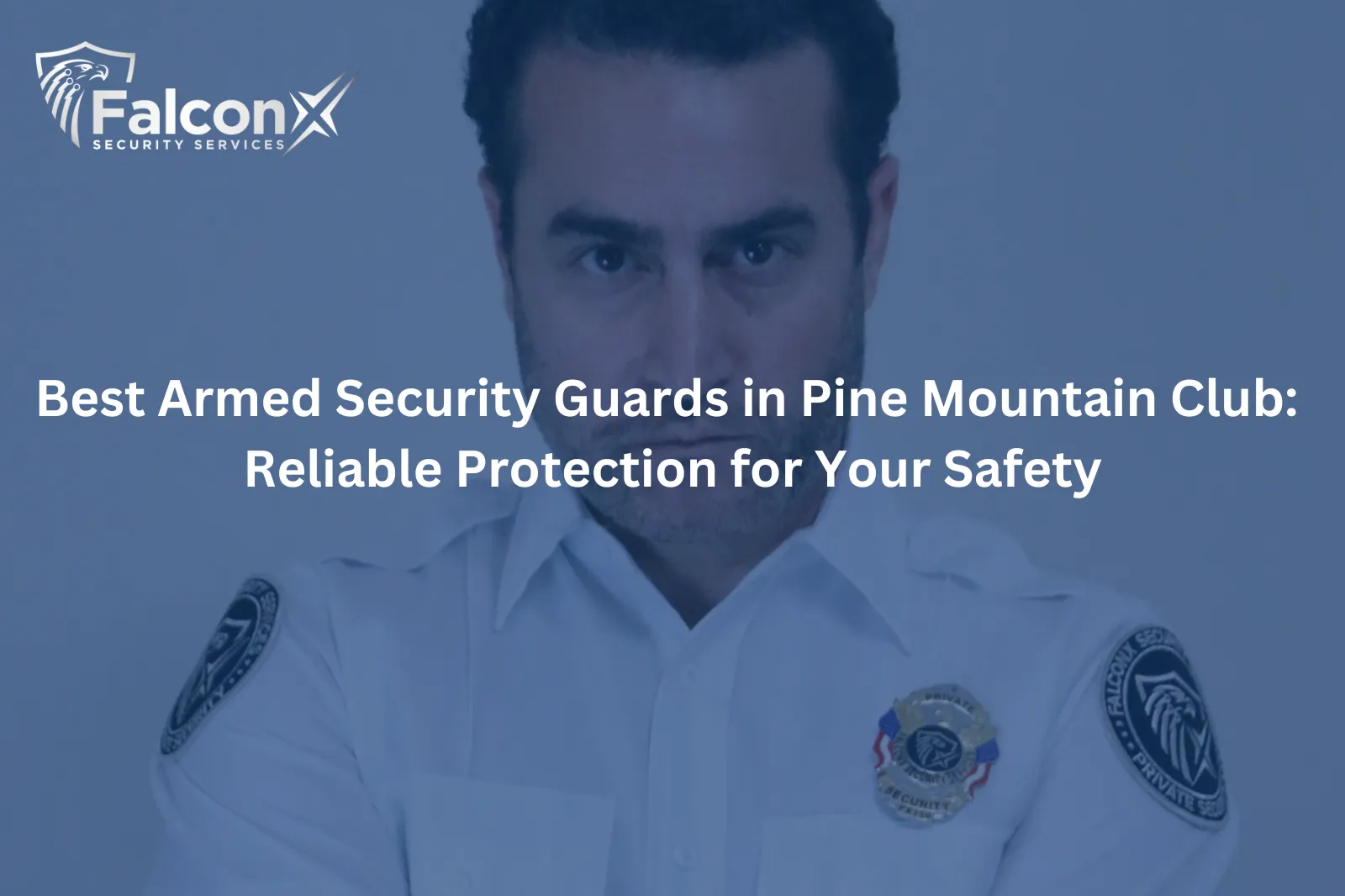 Best Armed Security Guards in Pine Mountain Club
