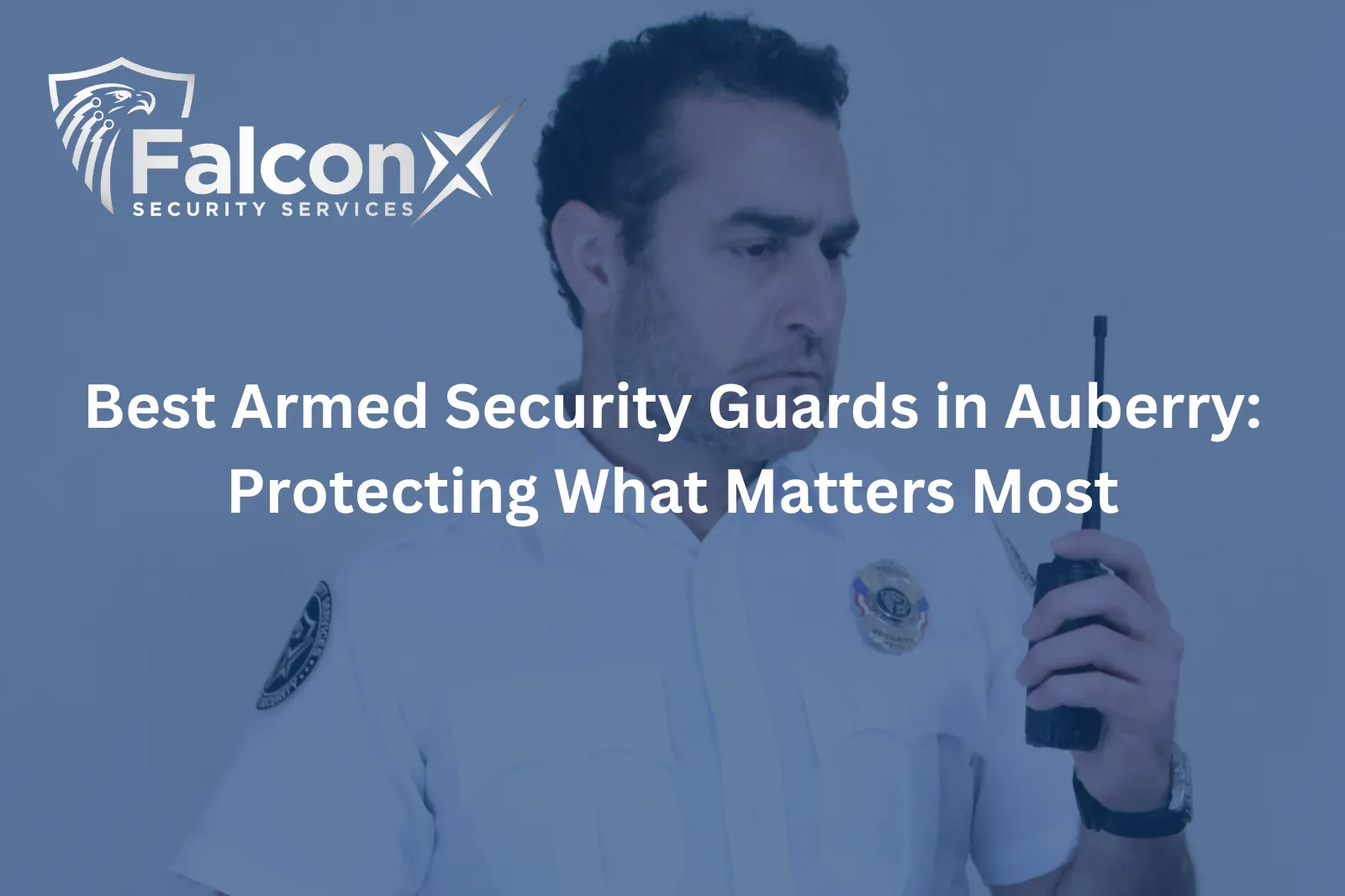 Best Armed Security Guards in Auberry